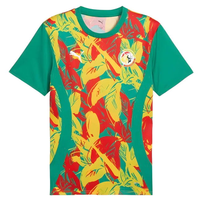 Performance-Driven 2024-2025 Senegal Prematch Ss Jersey (Green)