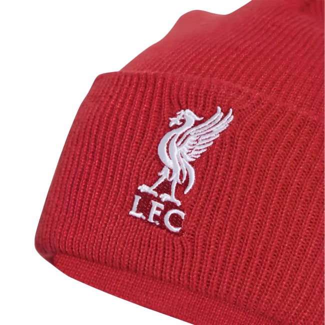 Liverpool 2025-20 value for money Third Soccer Jersey