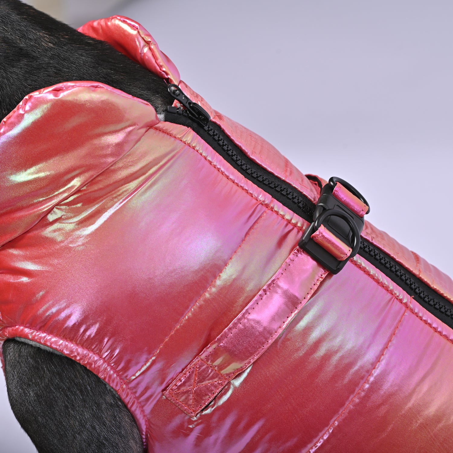 Snow Shield Frenchie Reflective Winter Warm Jacket V2