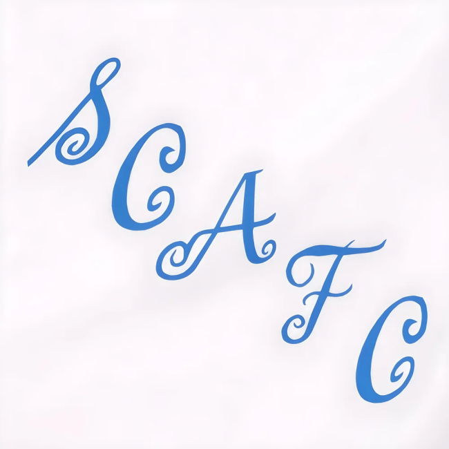 Football Shirt - Authentic - Team Spirit - Fan Gear - Premier League