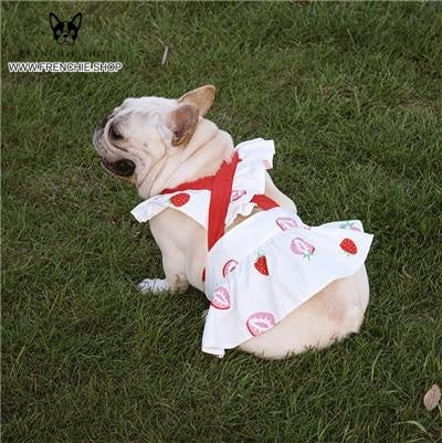 Party Skirt French Bulldog Summer Dress (W315)