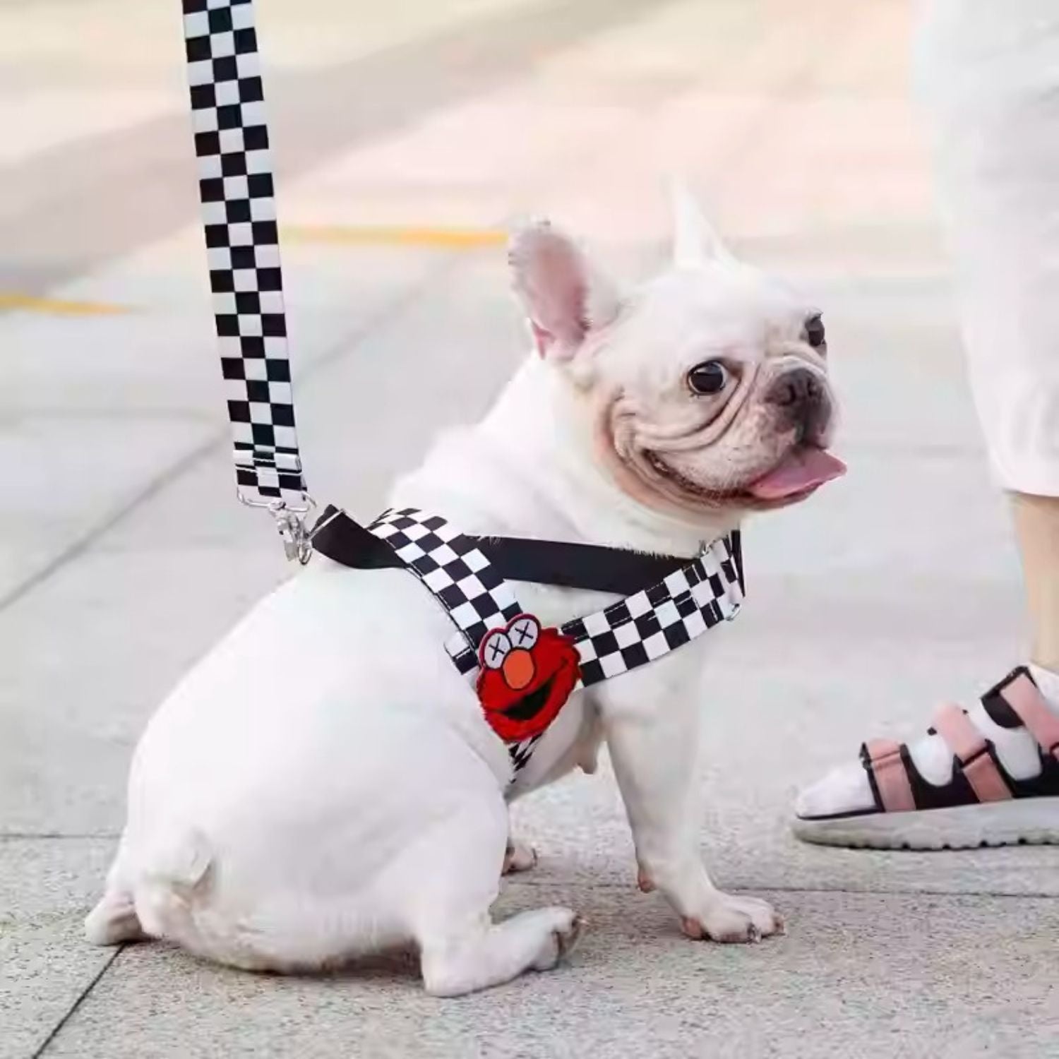 Breed-Designed Pupjoy Comfort Fit Frenchie Harness With Secure Buckle...