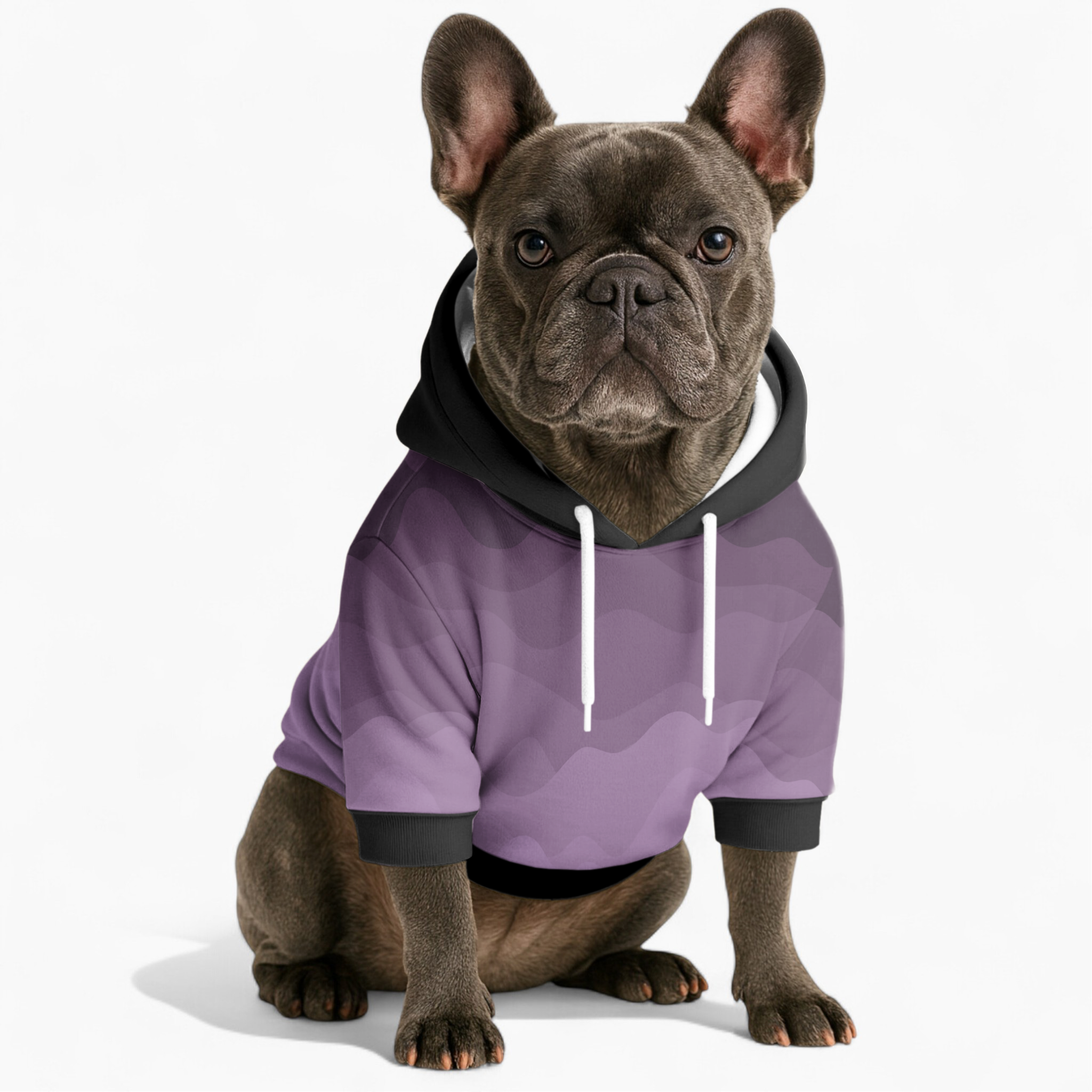 French Bulldog Goldie Frenchie Hoodie Essential Dog Supply