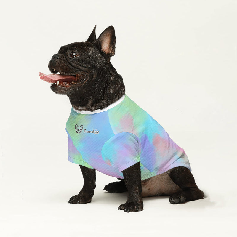 French Bulldog Cruz Wool Sweater For Frenchies Warm Dog Outfit