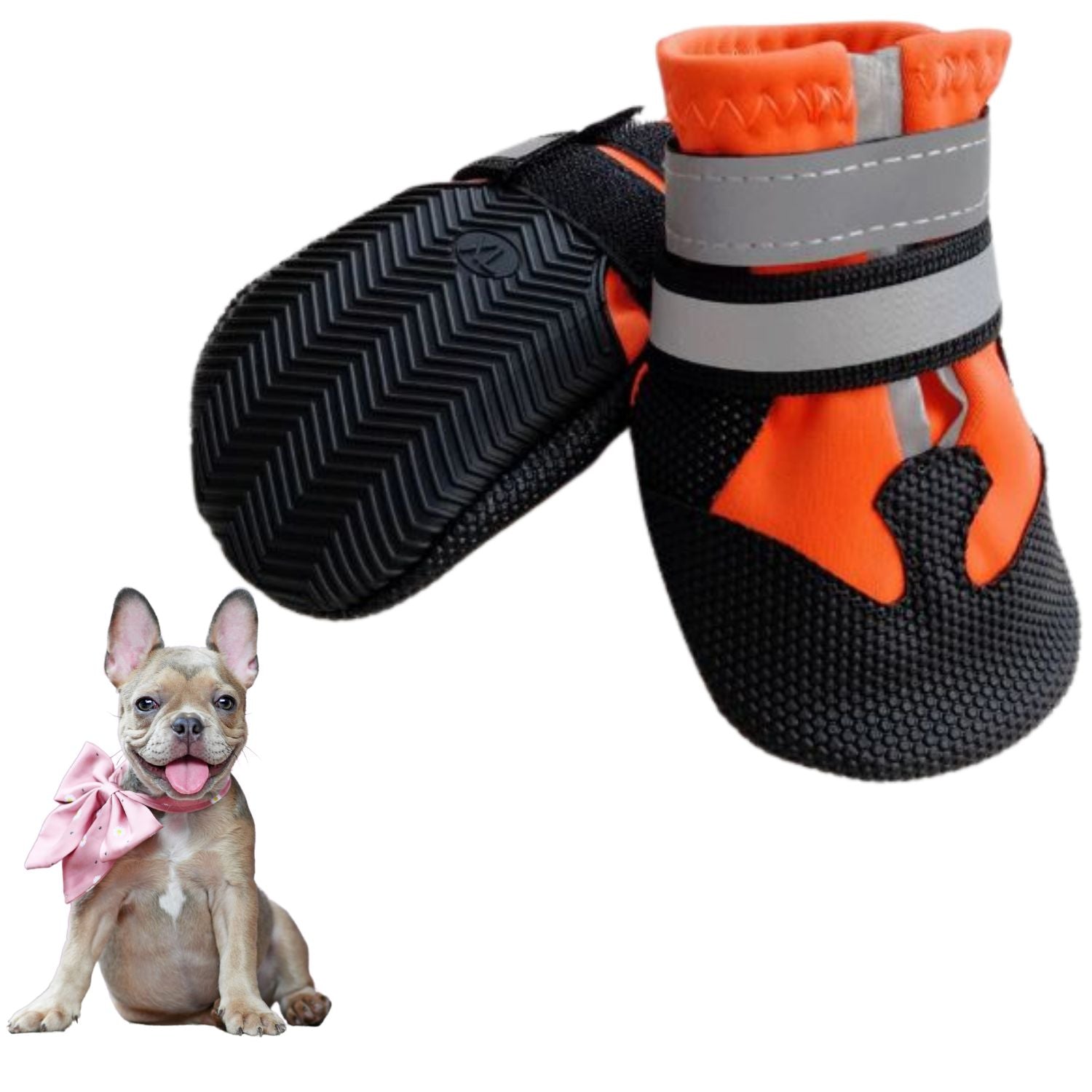 French Bulldog Pawluxe French Bulldog Waterproof Shoes – Soft Soled Pet