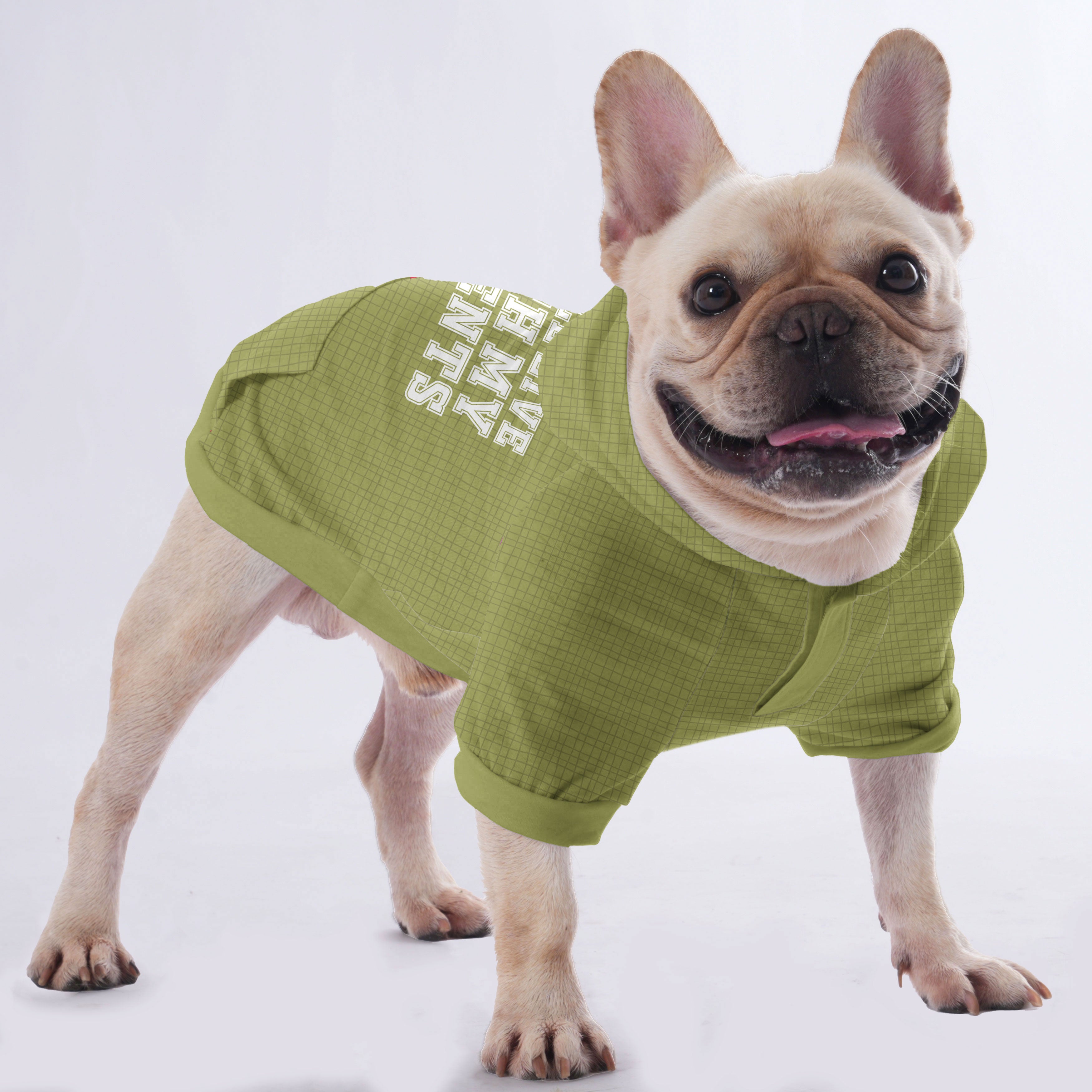 French Bulldog | Frenchie Shop Original Indoor Comfort | Stylish Look
