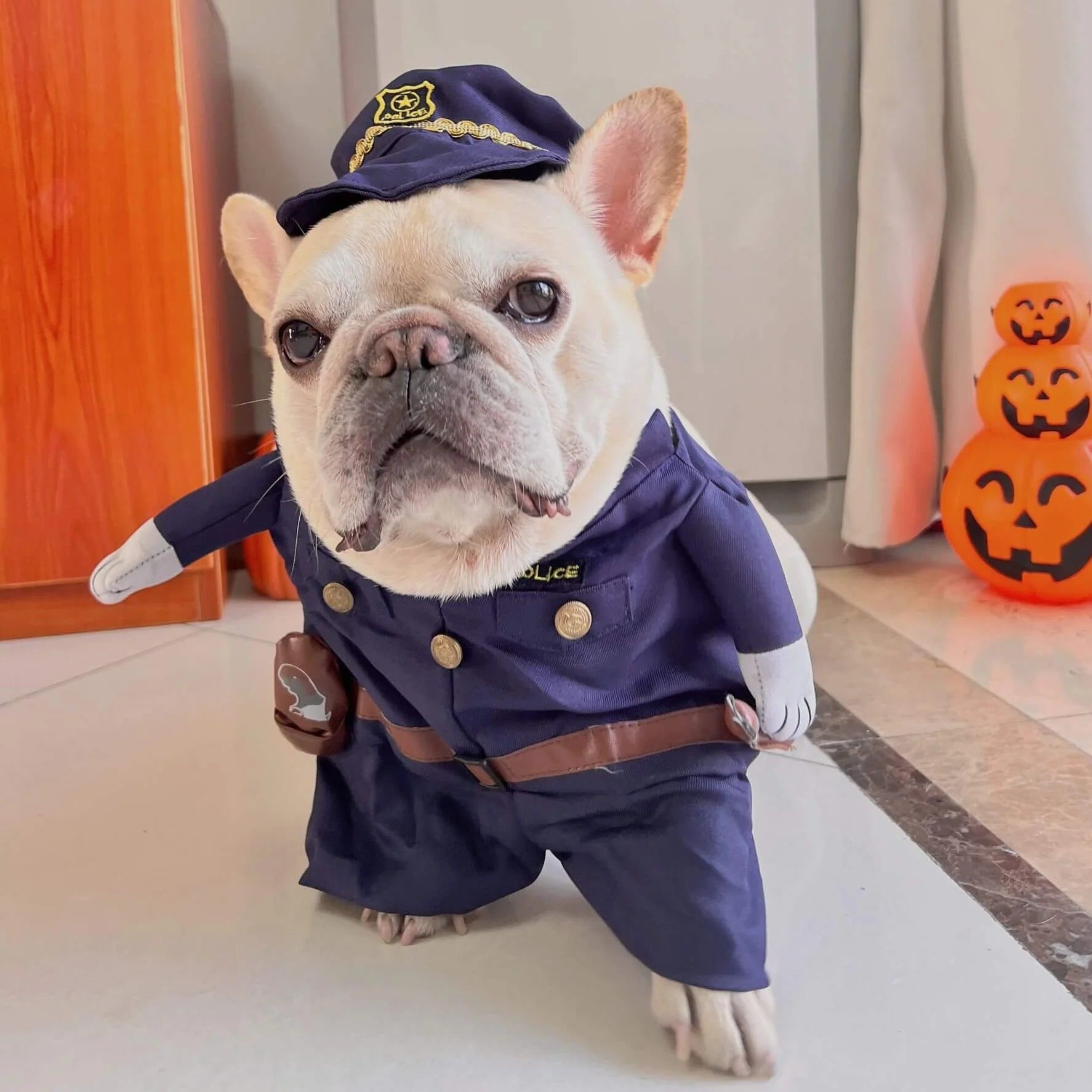 Trendy Copapup Frenchie Dagger Police Costume – Funny Knife-holding H...