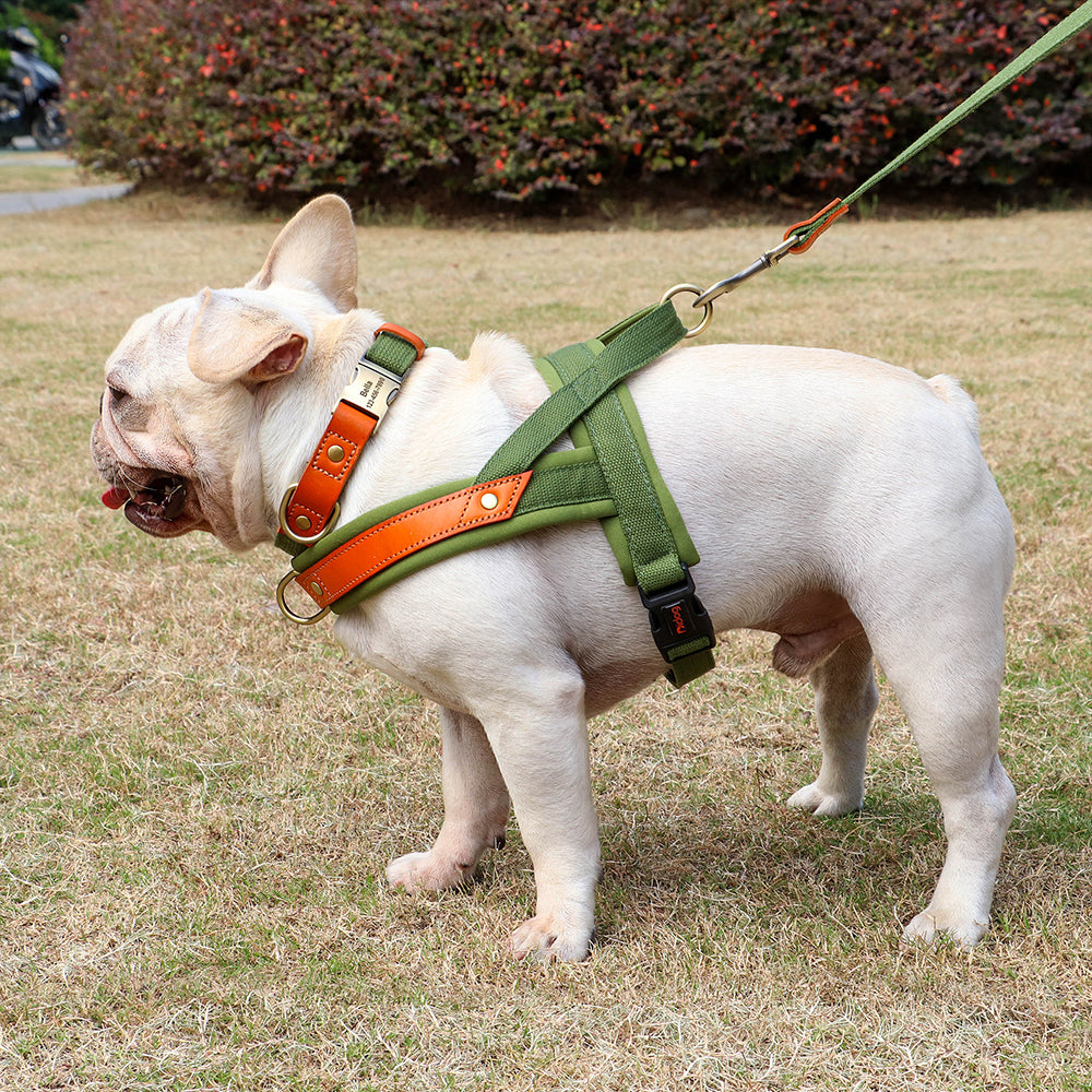 French Bulldog No Pull Collar Harness Leash Set (WS0223)