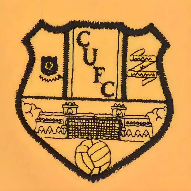 - Professional Grade - Official Licensed - Soccer Jersey