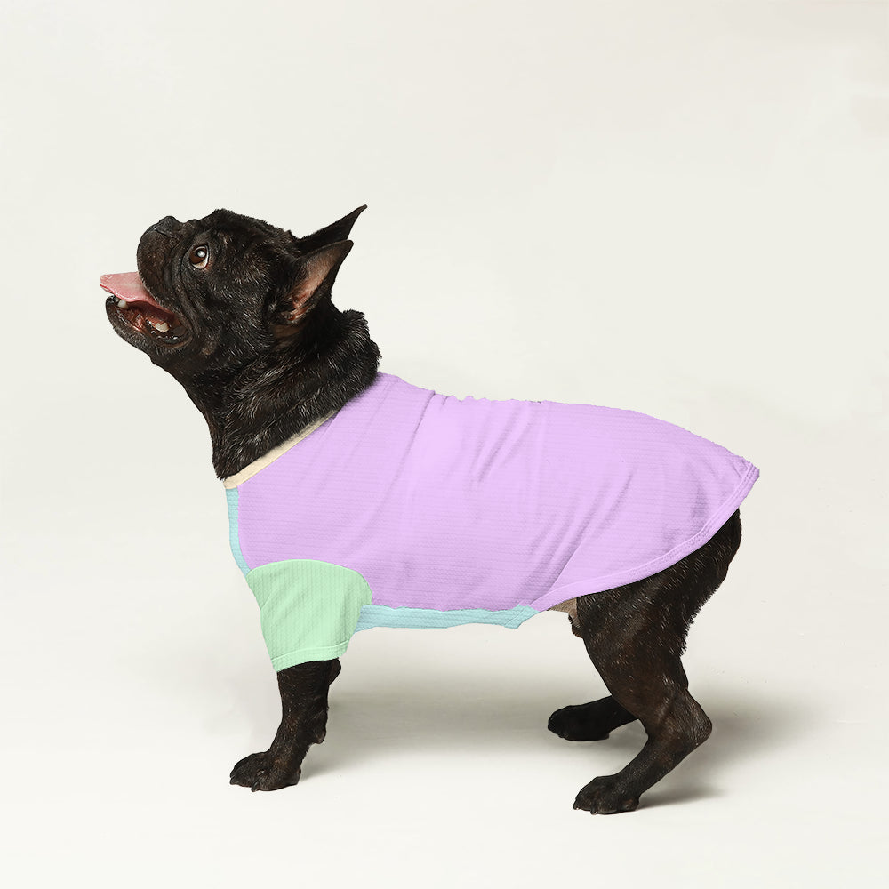 Lifestyle-Driven Lolli - Wool Sweater For Frenchies for French