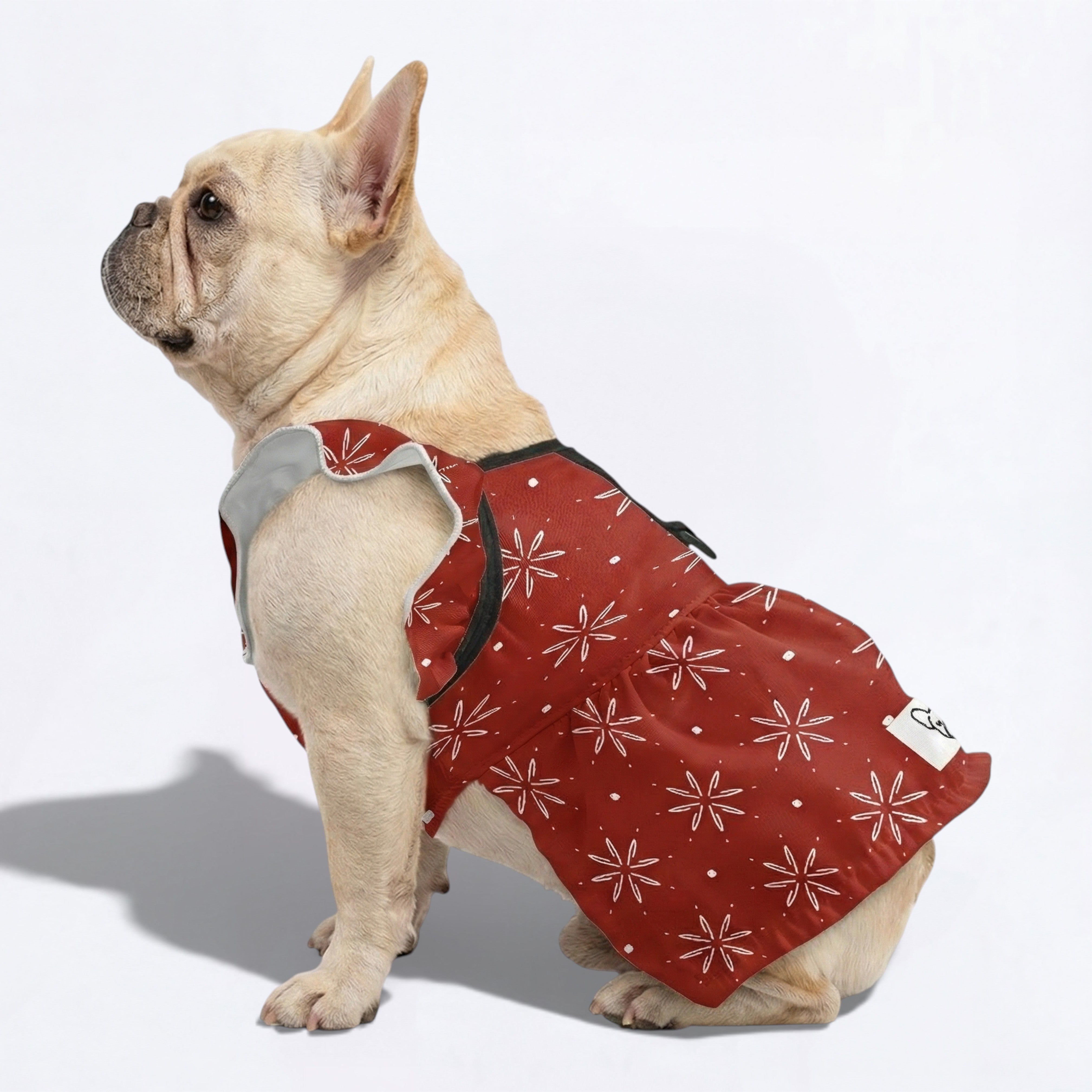 Culture-Inspired Nala - French Bulldog Dresses For Females for Pet