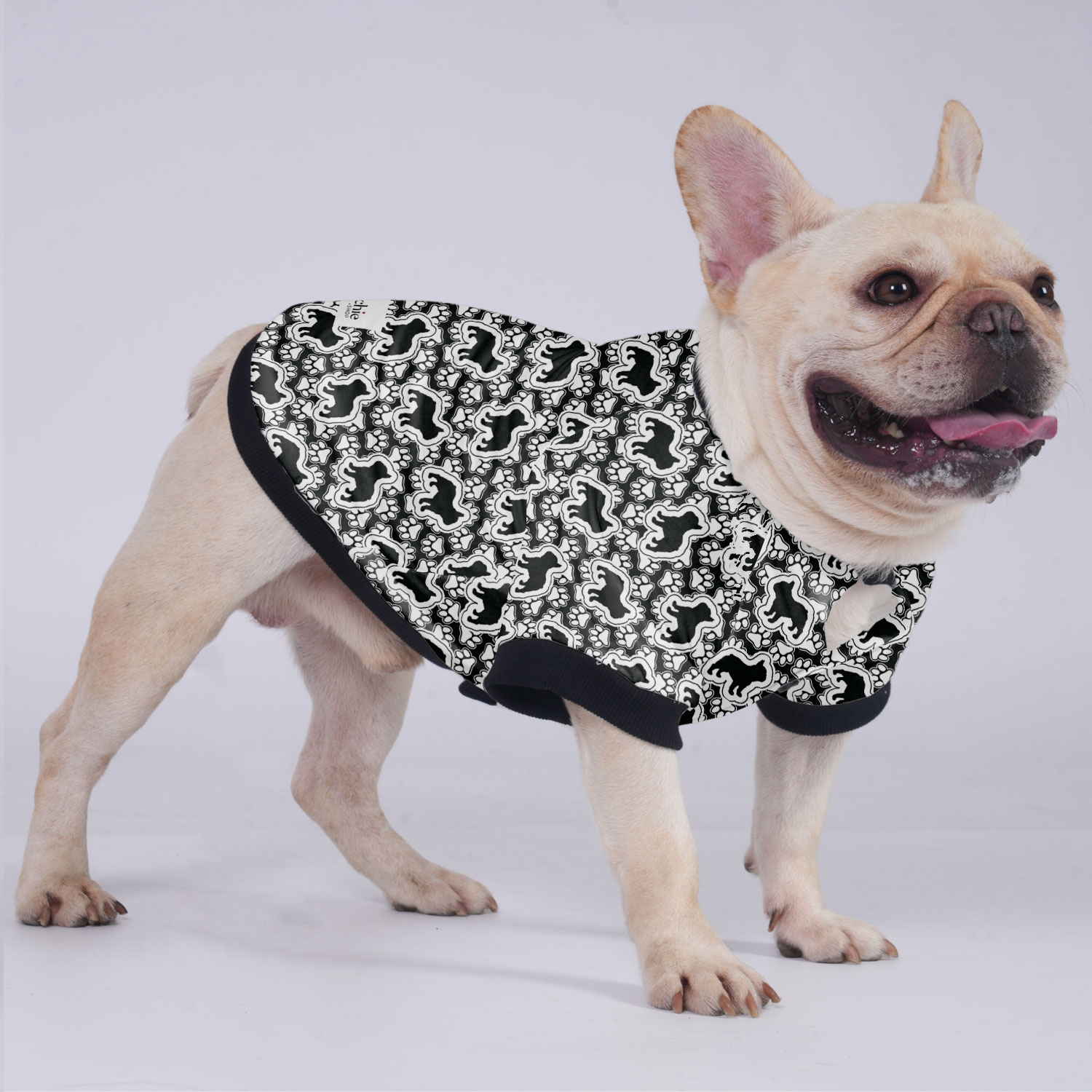 Ace - Warm Jacket For French Bulldog For Frenchie Pups | Breed-optimized