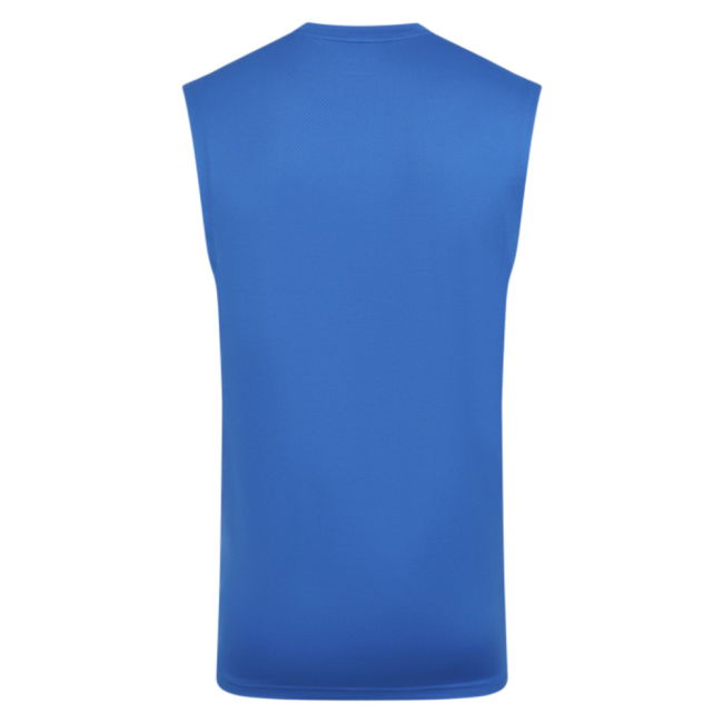 2025-2026 Wolves Players Training Vest (Lapis Blue)