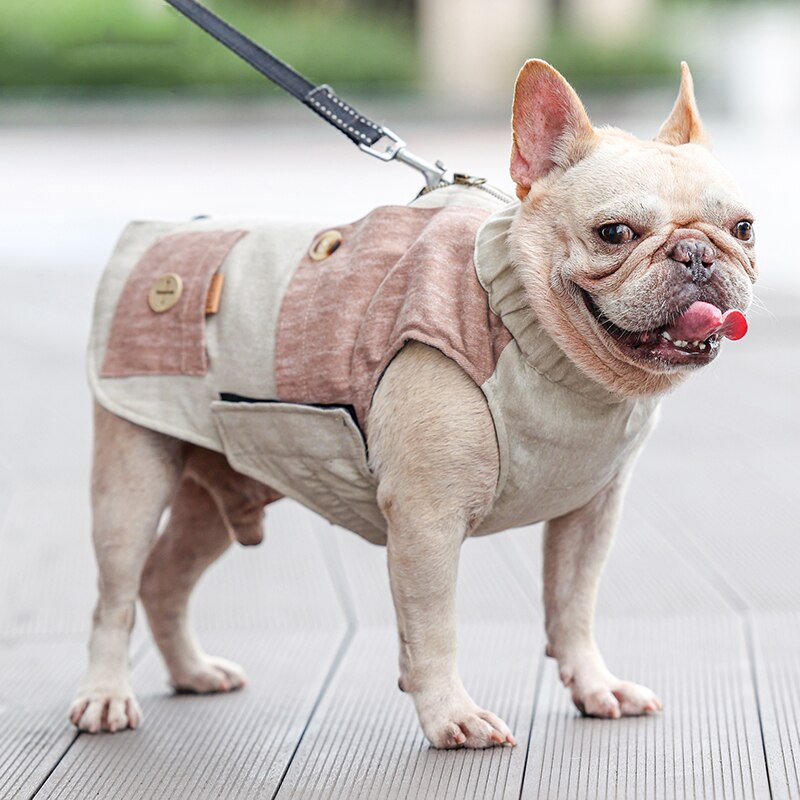 For French Bulldogs - Durable Stay Warm And Stylish For Frenchie Pups