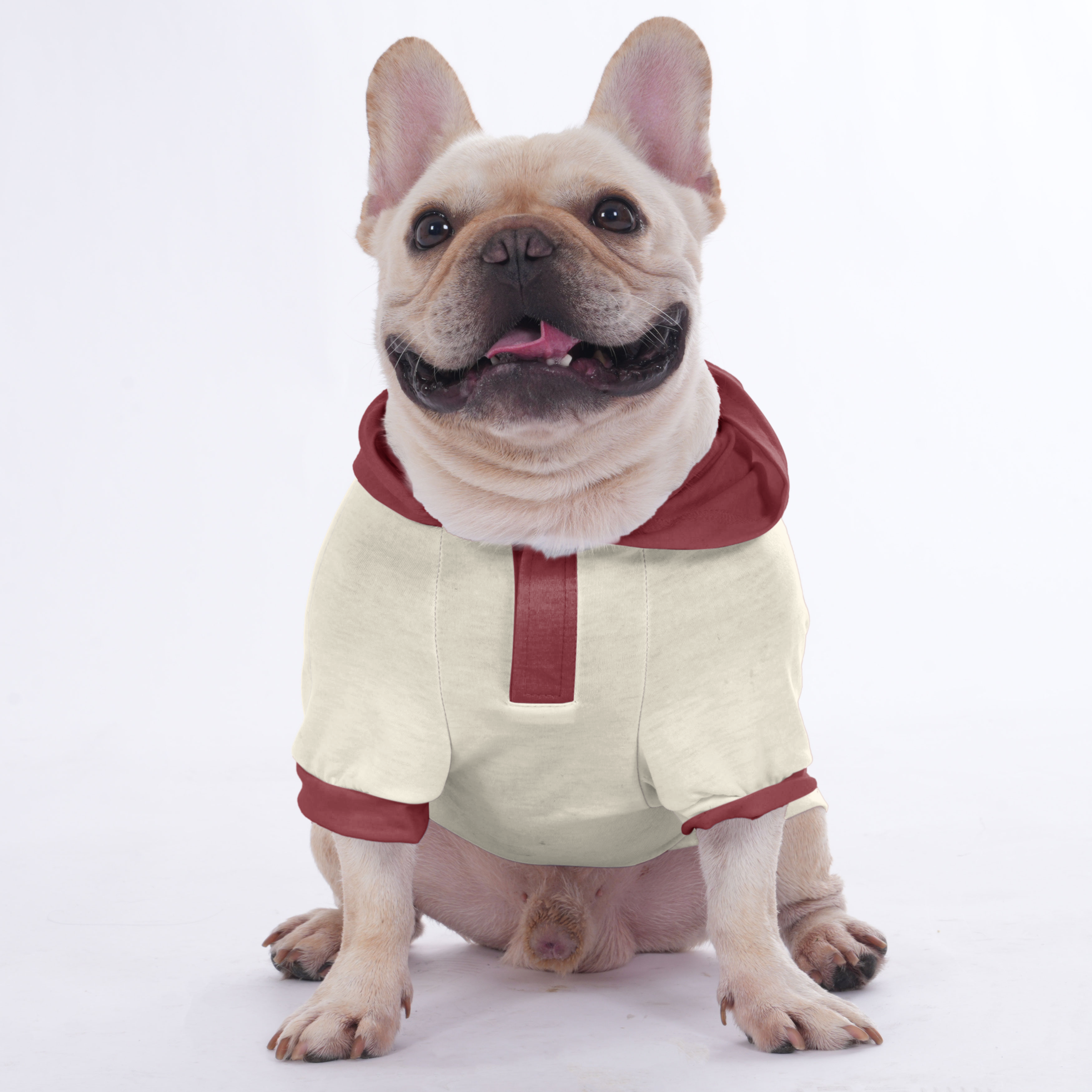 Cozy Sissy - Hoodies For French Bulldog | Frenchie Shop Original for ...
