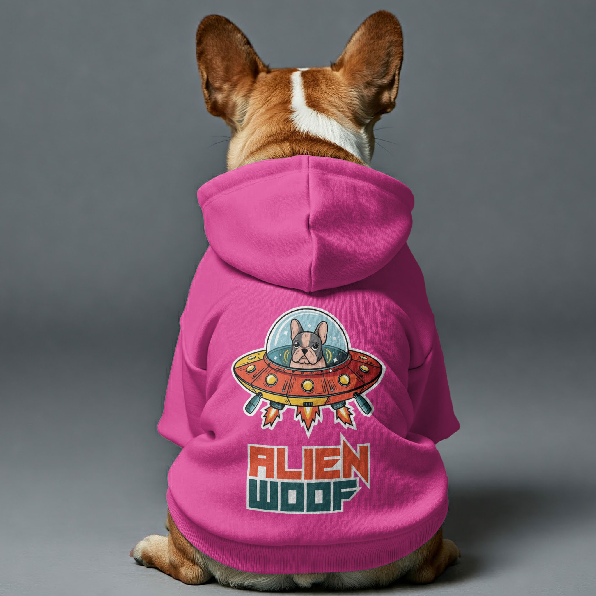 French Bulldog Alien Woof Personalized French Bulldog Hoodies With