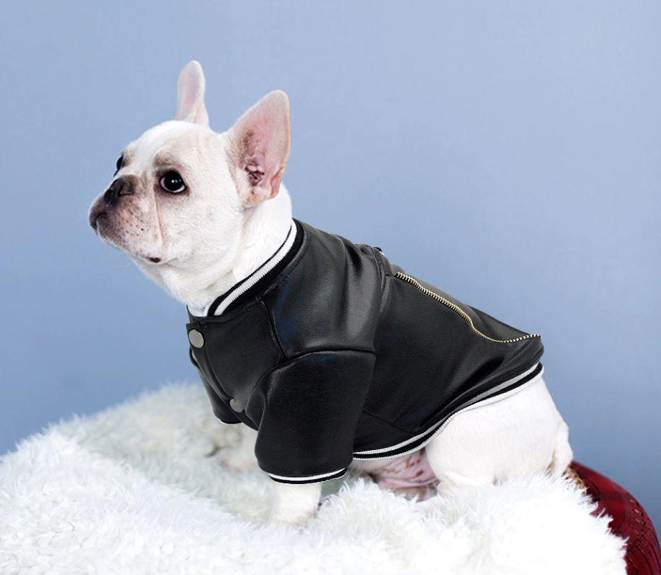 Inspired French Bulldog Jacket (ws13) Pet Owner Apparel | Durable Build