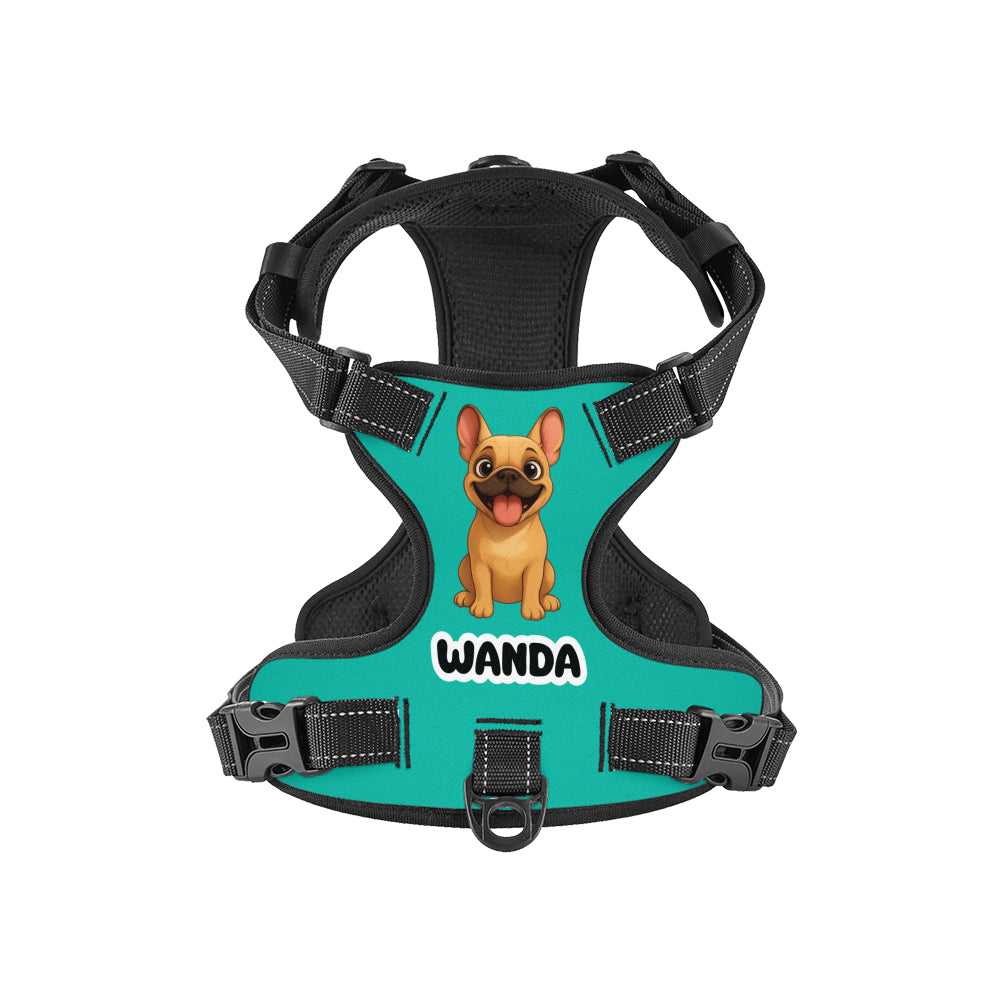 - Warm Personalized No-pull French Bulldog Dog Harness Paw Protection