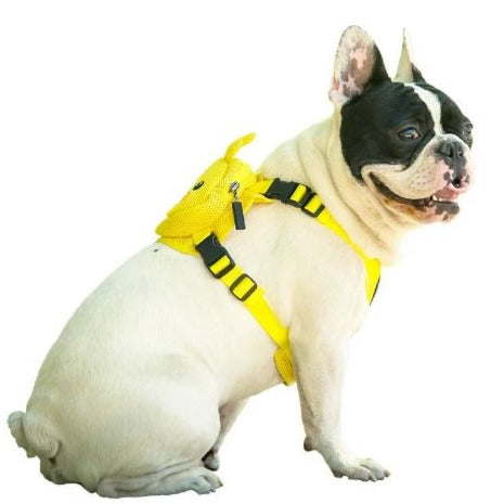 French Bulldog Backpack Harness Set