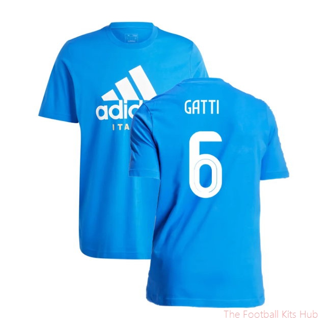 2024-2025 Italy DNA Graphic Tee (Blue) (GATTI 6)