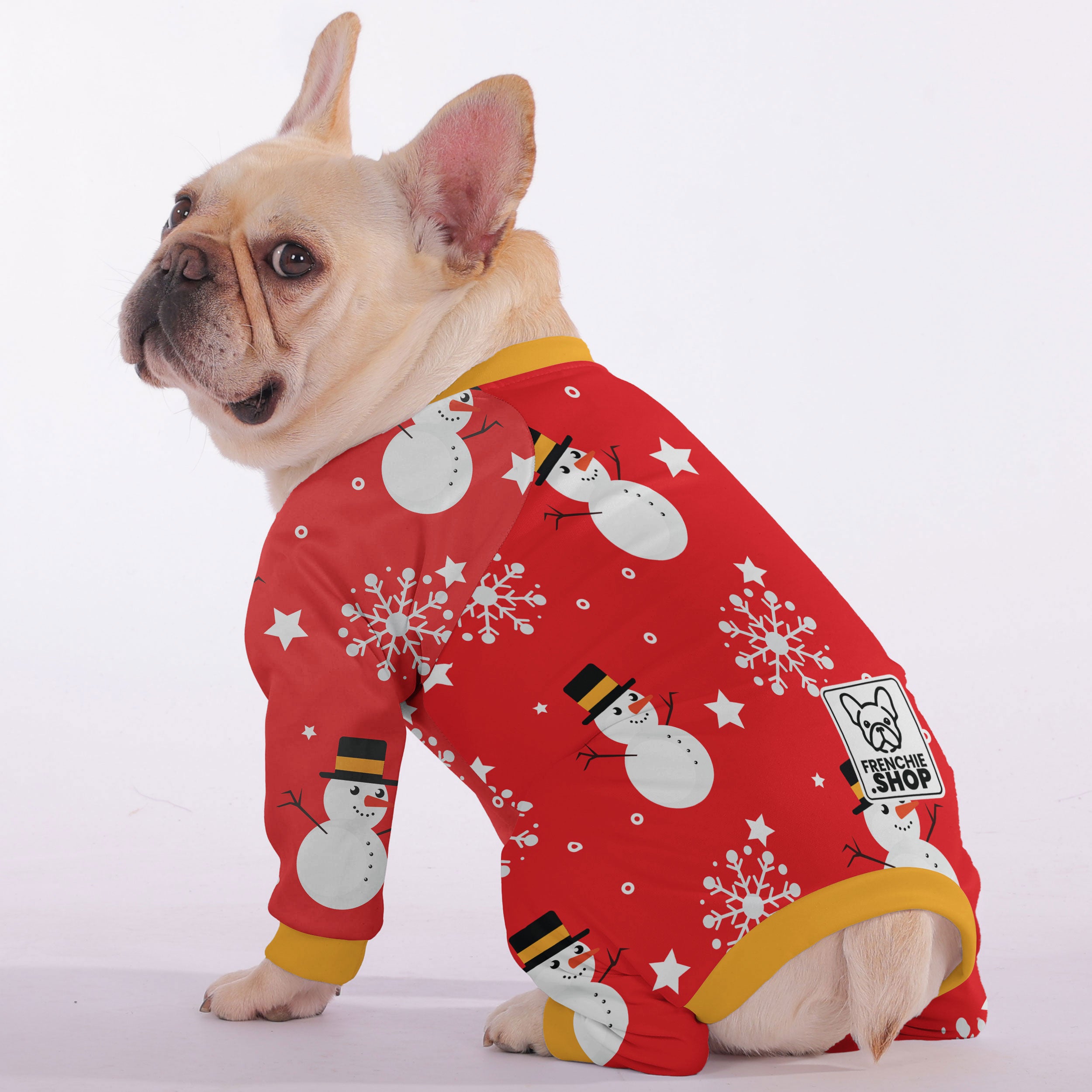 Noodle - Frenchie Pajamas