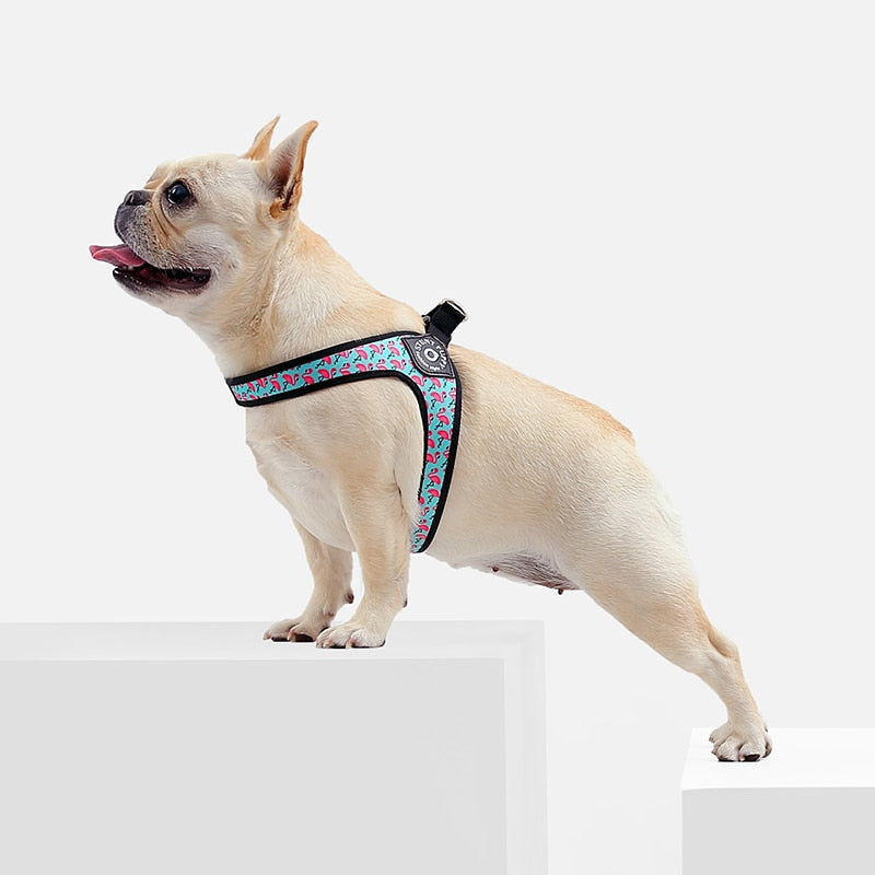 Easy-Walk™ - No Pull French Bulldog Harness (WS601)