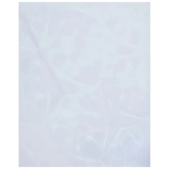 Leicester (leicester) Official 2024-2025 Third - Match Day Essential