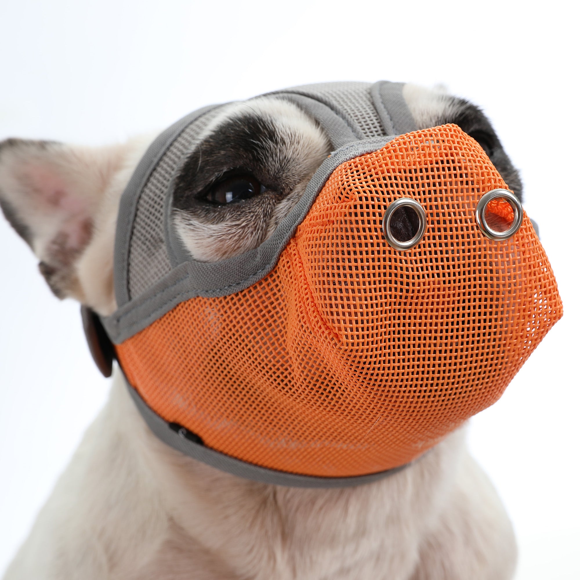 French Bulldog Premium Adjustable Frenchie Muzzle Mouth Cover For