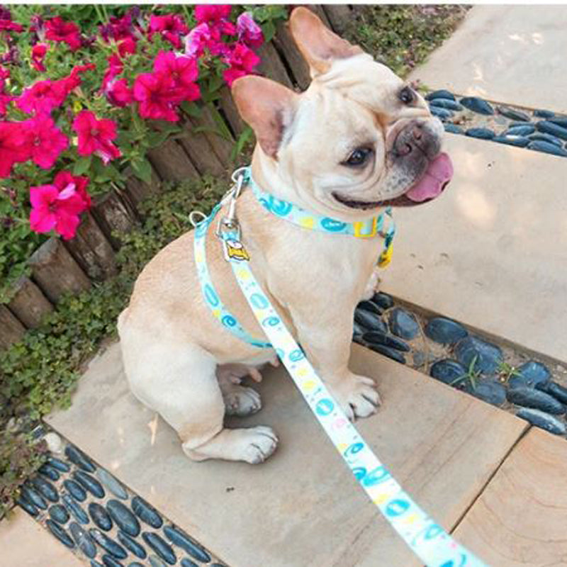 Elite French Bulldog No Pull Fashion Harness And Leash Set (WS0423)