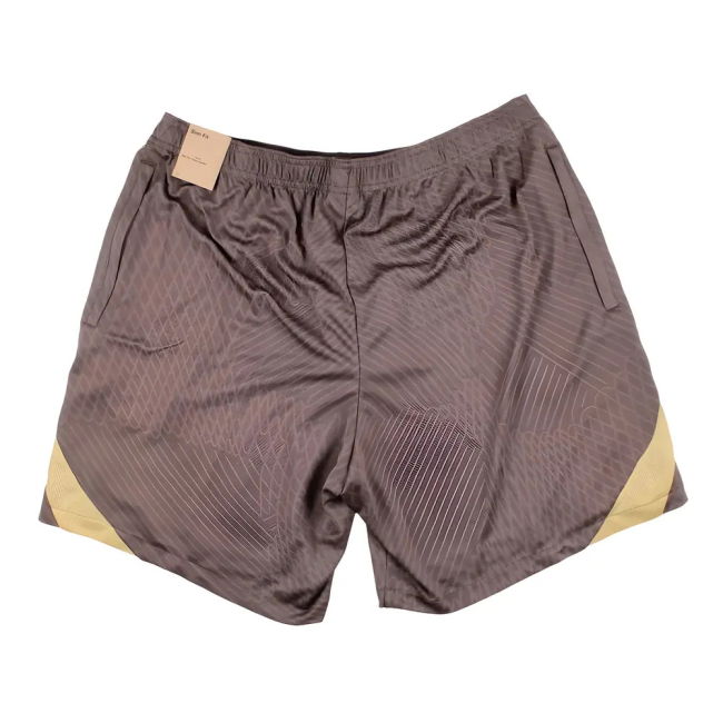 Tottenham Strike Training official style Shorts 2023-2024 (Unisex