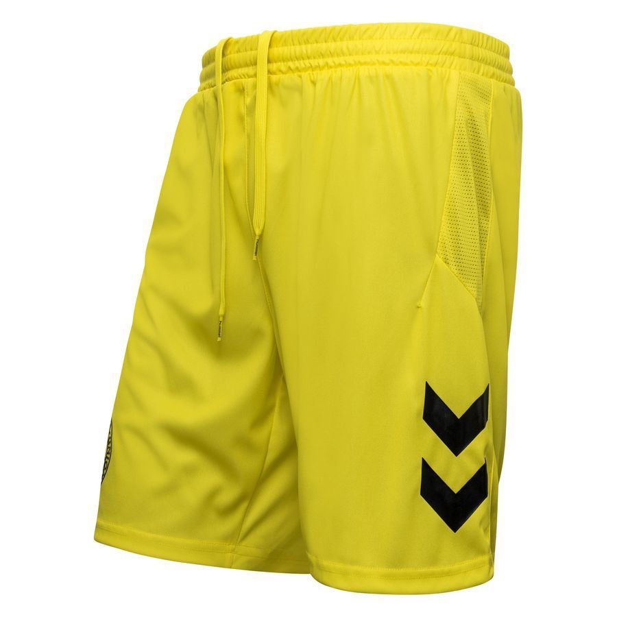 Denmark Goalkeeper Shorts 2023/24