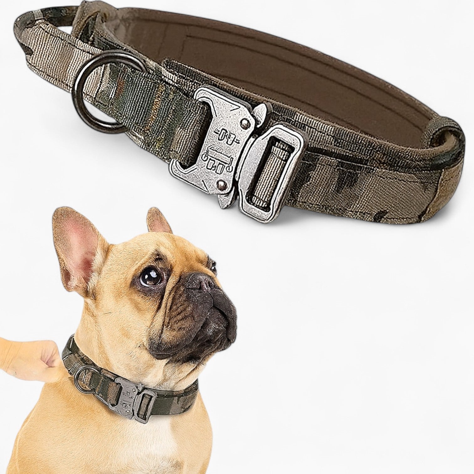 Tactipup Frenchie Tactical Collar – Durable Adjustable Military-Style for Training
