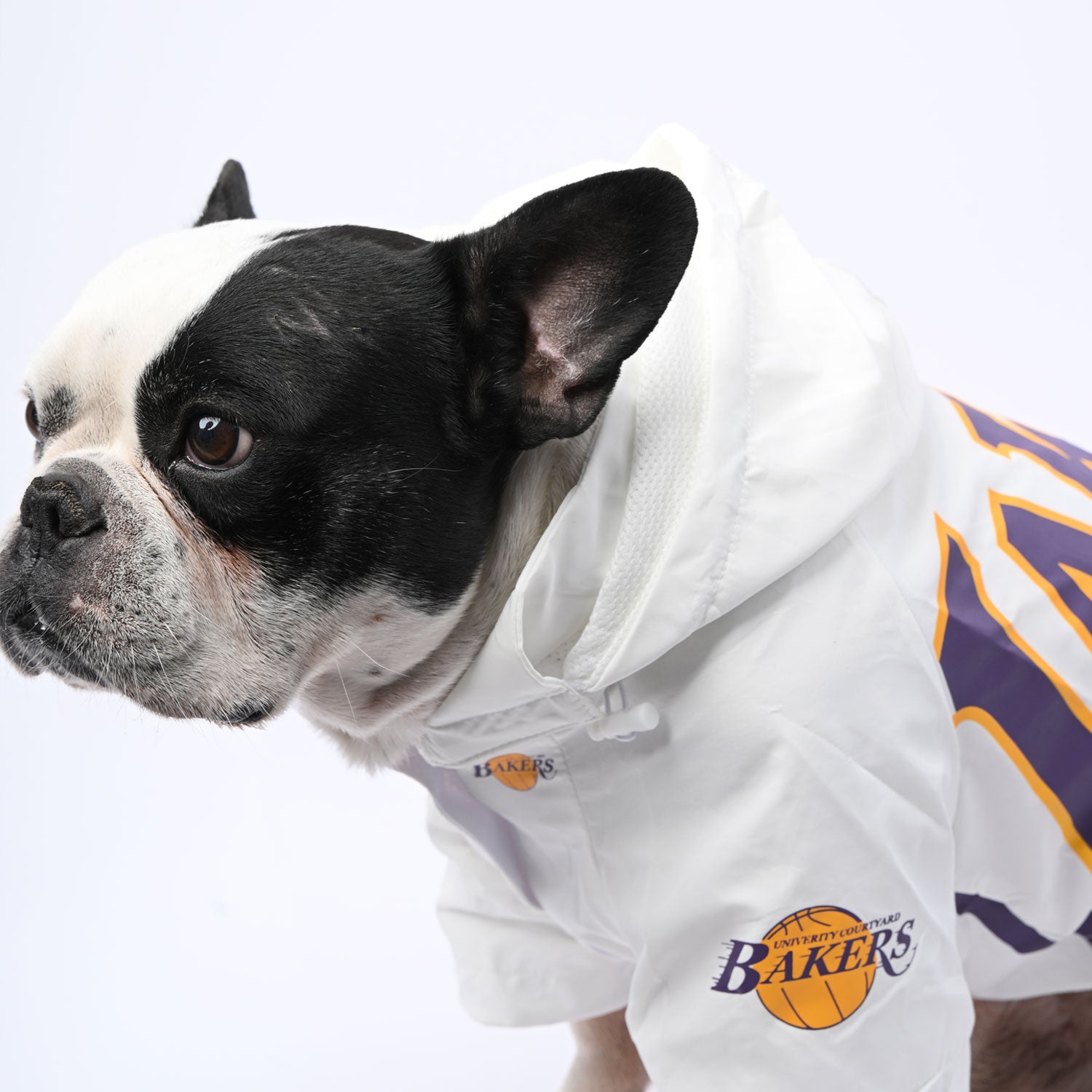 Snugpaw - Warm Frenchie Raincoat Pet Winter Jacket For French Bulldogs