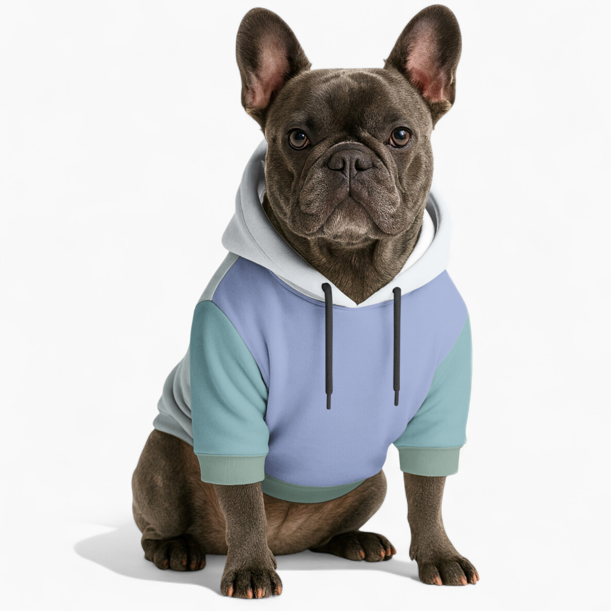 French Bulldog Ross Frenchie Hoodie Useful Frenchie Gear