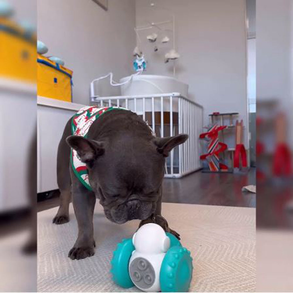 French Bulldog Furbuddy Interactive Treat Tumbler Useful Frenchie Gear