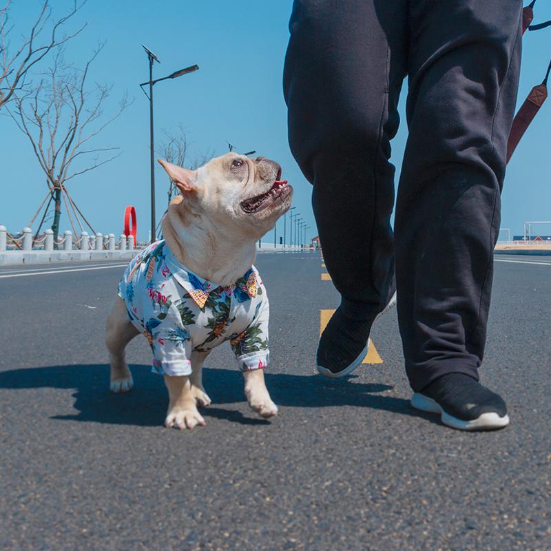 Comfy Durable Comfy Frenchie Summer Shirt For Dog Lovers