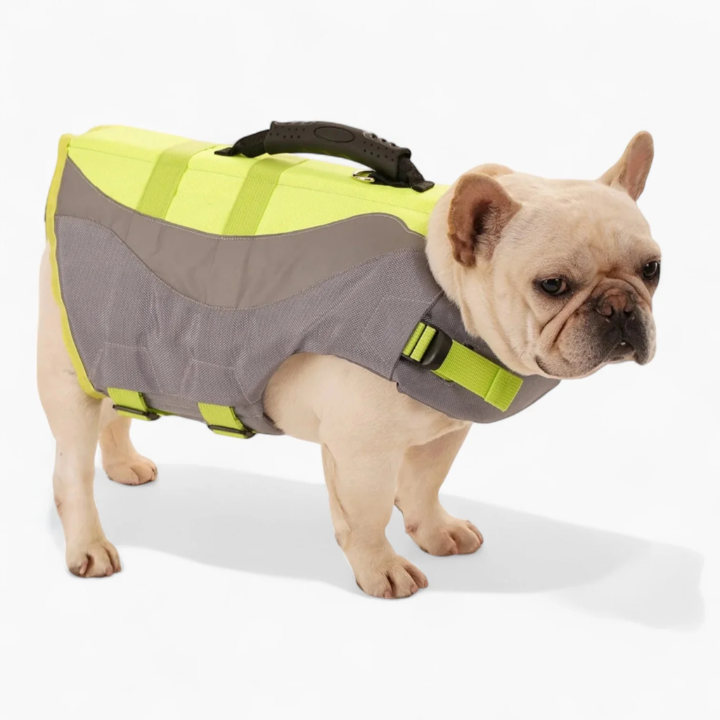 Fashion-Forward Frenchie Reflective Swim Vest – Safety Adjustable Lif...