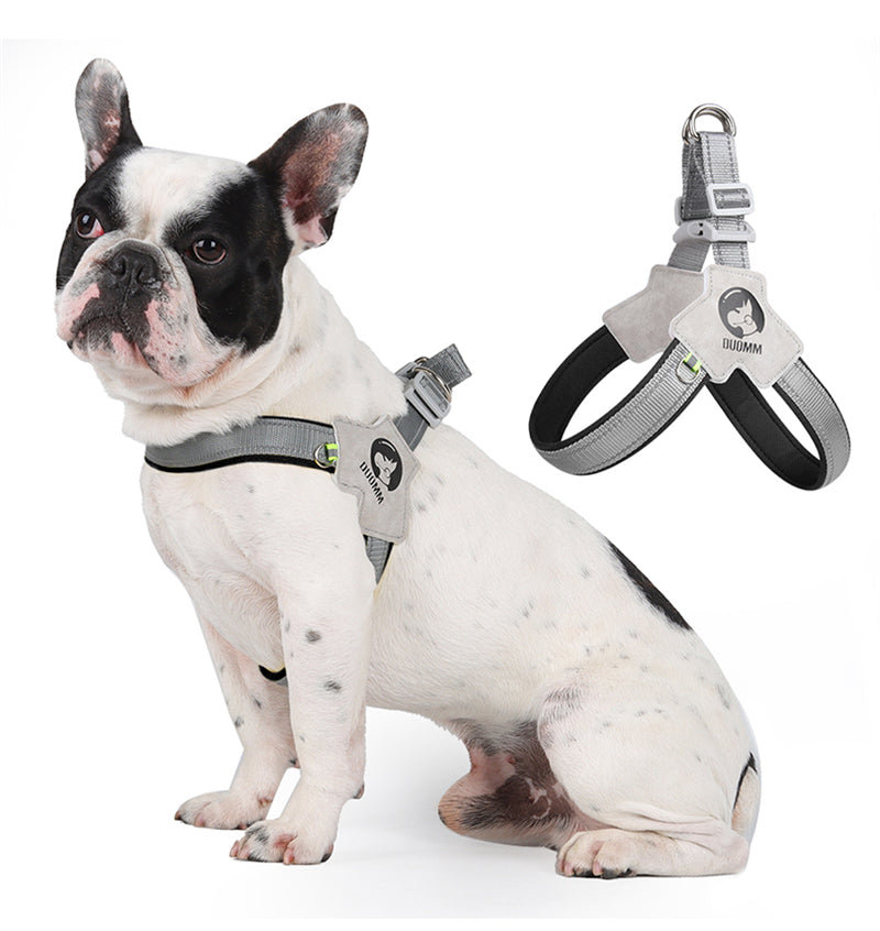 LightLatch No pull Frenchie Reflective Harness