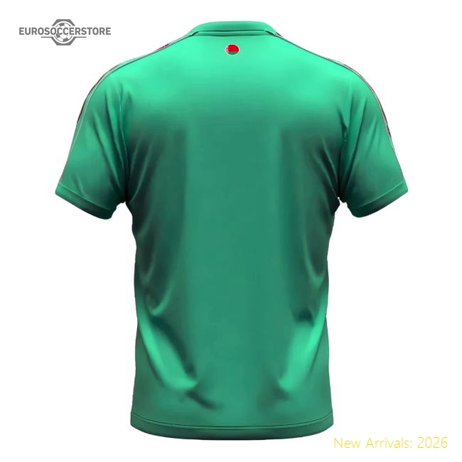 Belarus Away Kit 2024-2025 Fan Edition Jersey Game Ready