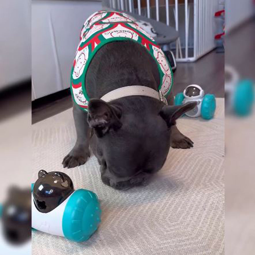 Furbuddy - Durable Interactive Treat Tumbler Indoor Use