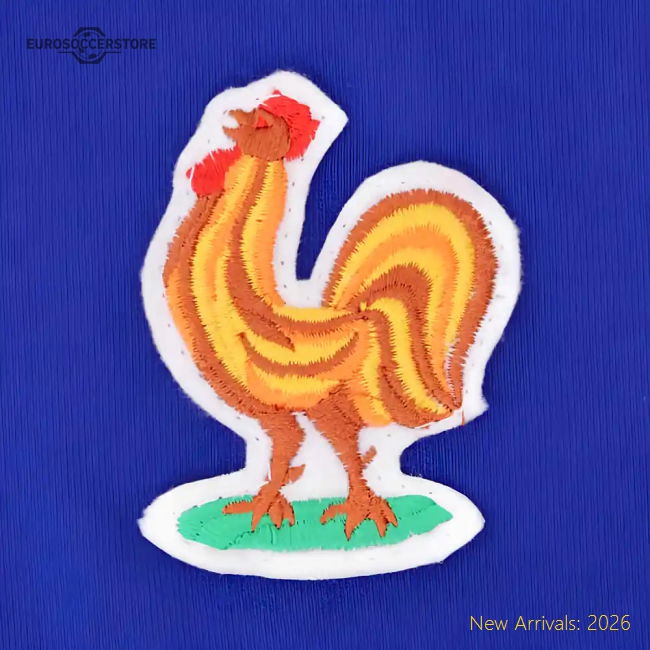 Professional France 2024-2025 Regular Jersey - Ventilation