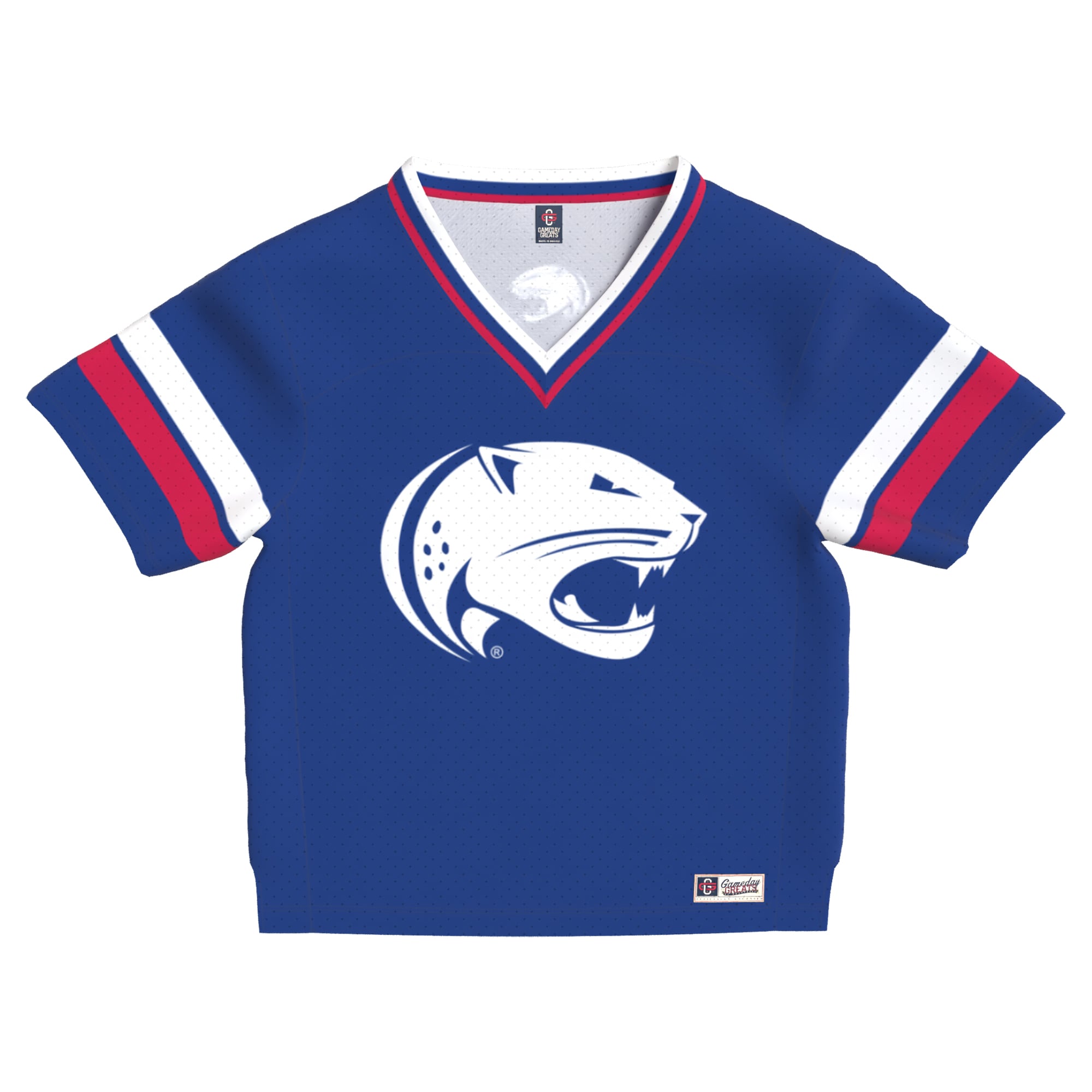 Toddler Blue South Alabama Jaguars Lightweight Collegiate Football Fashion Jersey