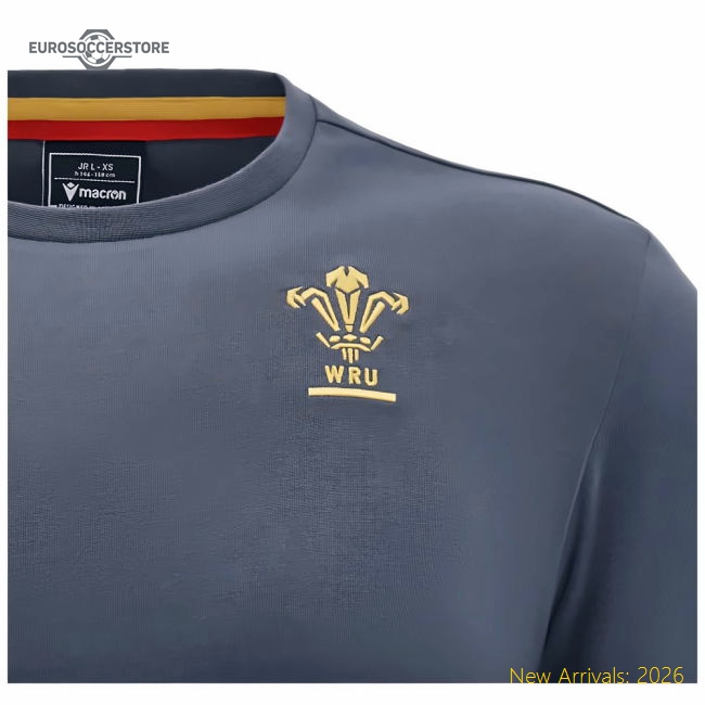 2024-2025 Wales Rugby Travel Cotton T-Shirt (Anthracite) - Kids
