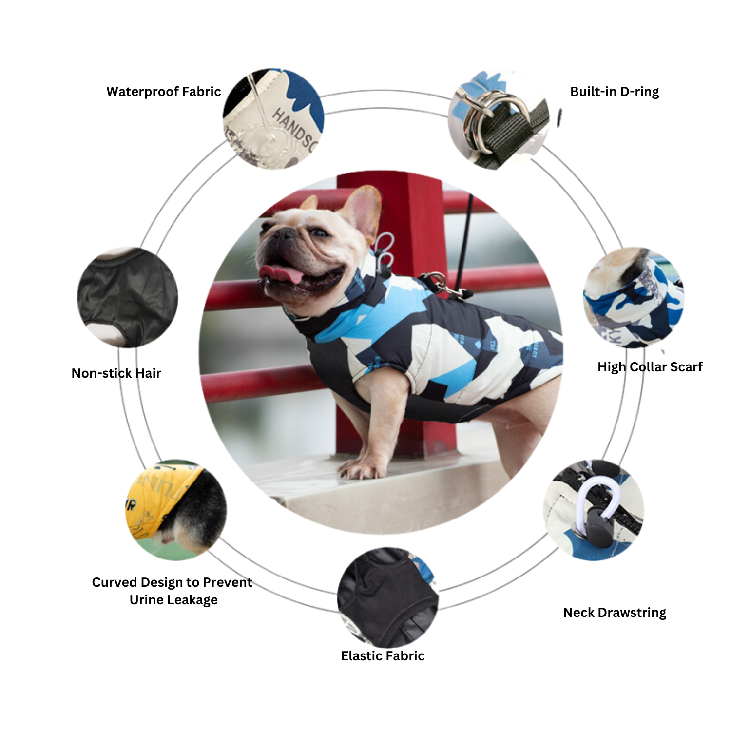 Premium Street-Ready Puptrend Premium Frenchie Jacket for Street Style