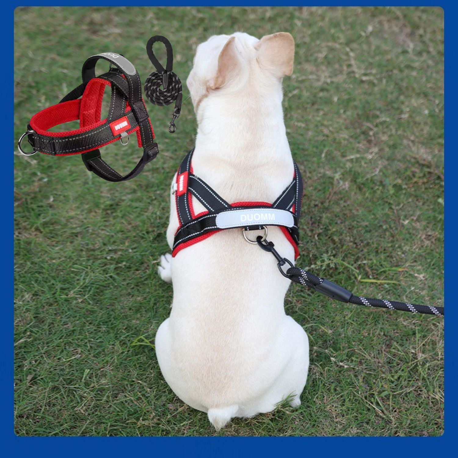 Secure-Fit Frenfit Frenchie Harness And Leash Set – No-pull Y-shaped ...