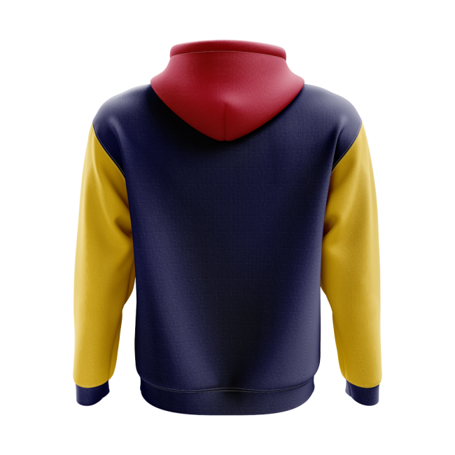 Terrace Wear Chad Concept Country Football Hoody (navy) Kit