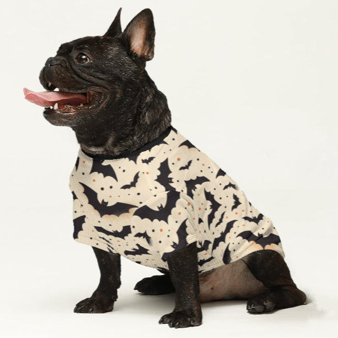 Inspired Wool Sweater For Frenchies For Dog Lovers | Premium Quality