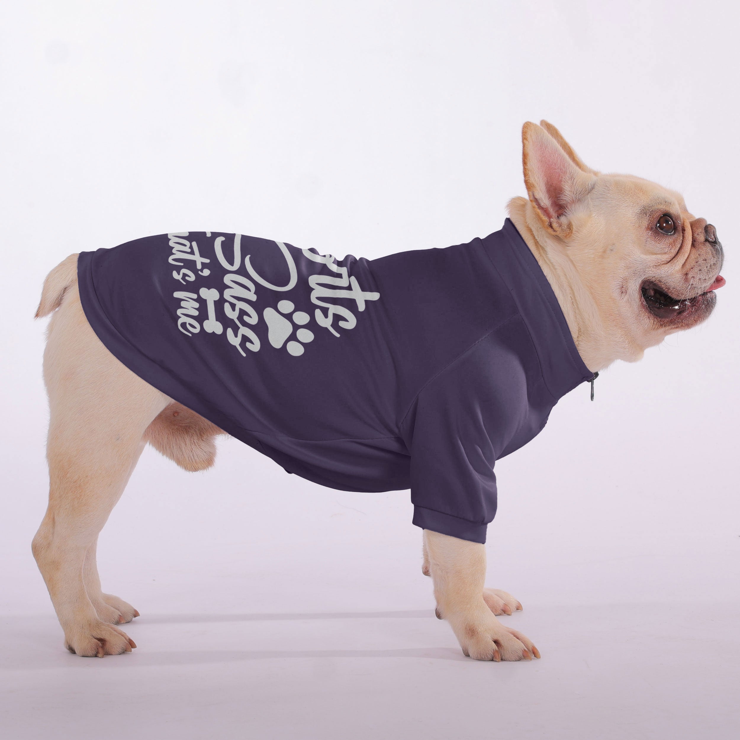 French Bulldog Snorts & Sass, That’s Me Snuggly Zip Up Sweatshirt For