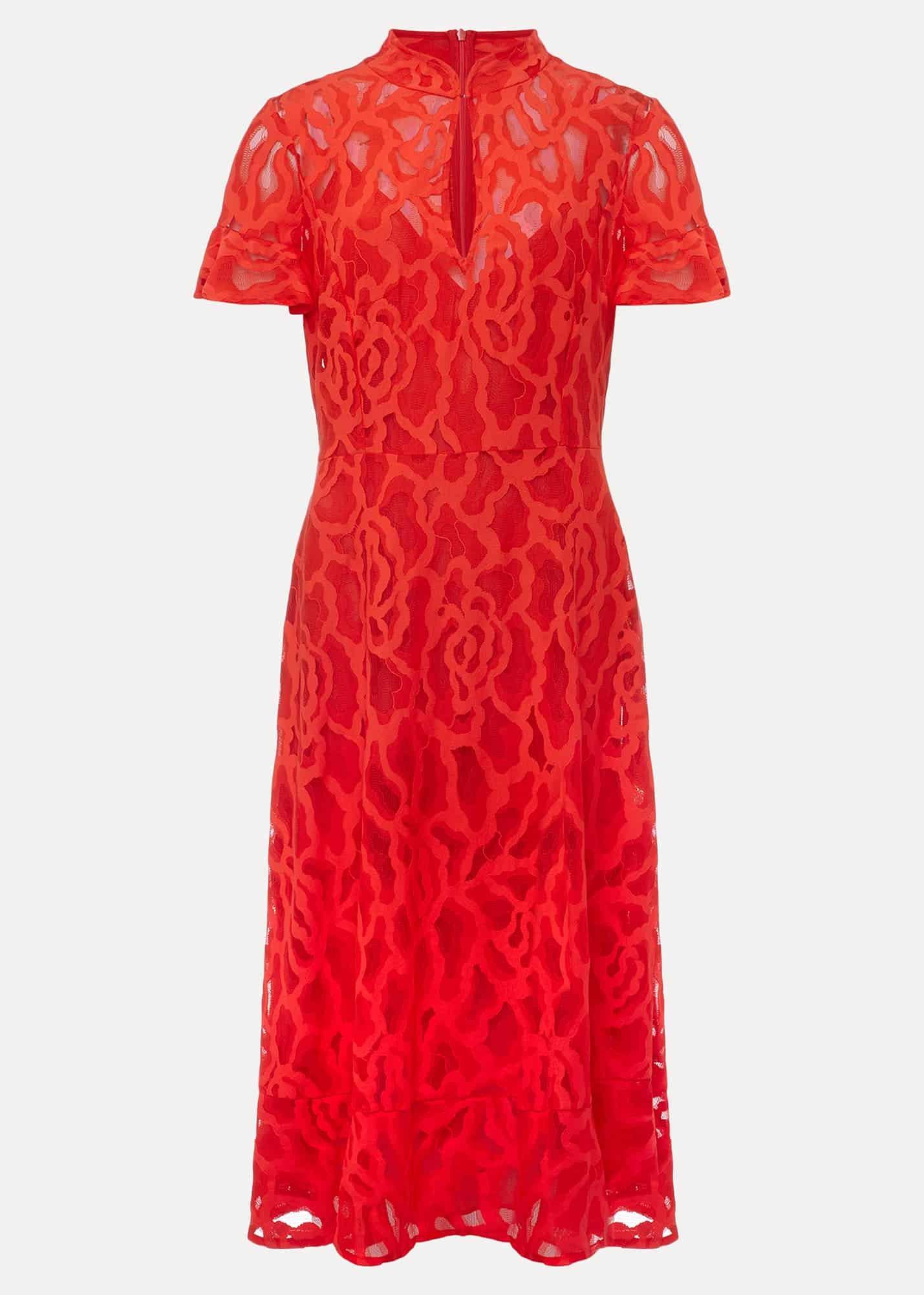 Petite Lulu Lace Midi Dress