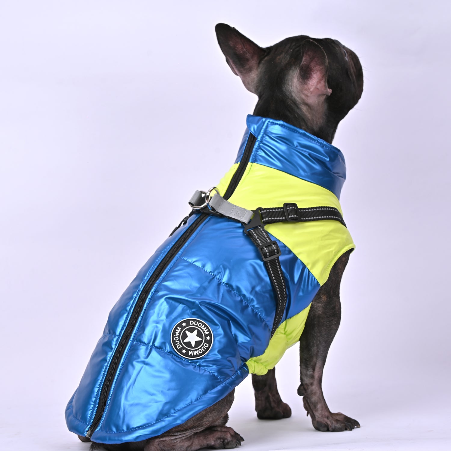 Snowy Snuggles Frenchie Warm Reflective Winter Jacket V2